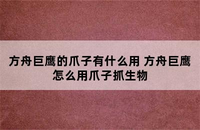 方舟巨鹰的爪子有什么用 方舟巨鹰怎么用爪子抓生物